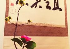 義援茶会お茶を点てさせていただきました