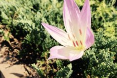 社員のブログ更新がはじまりました。