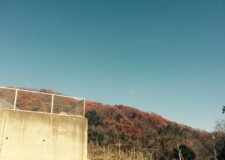 足跡は裏山に向かっています。