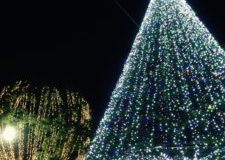 イルミネーション