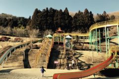 自然豊かな公園