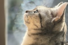 今日は何の日？