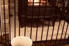 くつろぎの時間