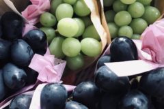 秋のフルーツといえば…