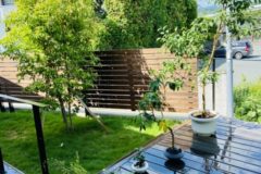 気持ちよさそう