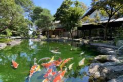 素敵な日本庭園