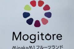 Mogitore