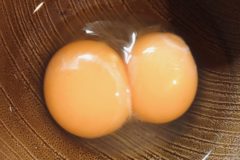 ちょっと嬉しい😊