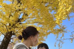 紅葉も寒さもあっという間に