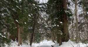 異世界のような特別な景色