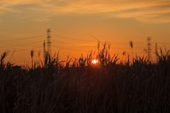 静かな朝から始まる一年