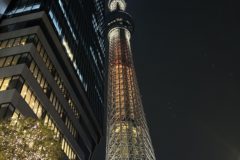 改めて、じっくりと