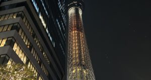 改めて、じっくりと