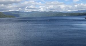 青に包まれる、静かなひととき